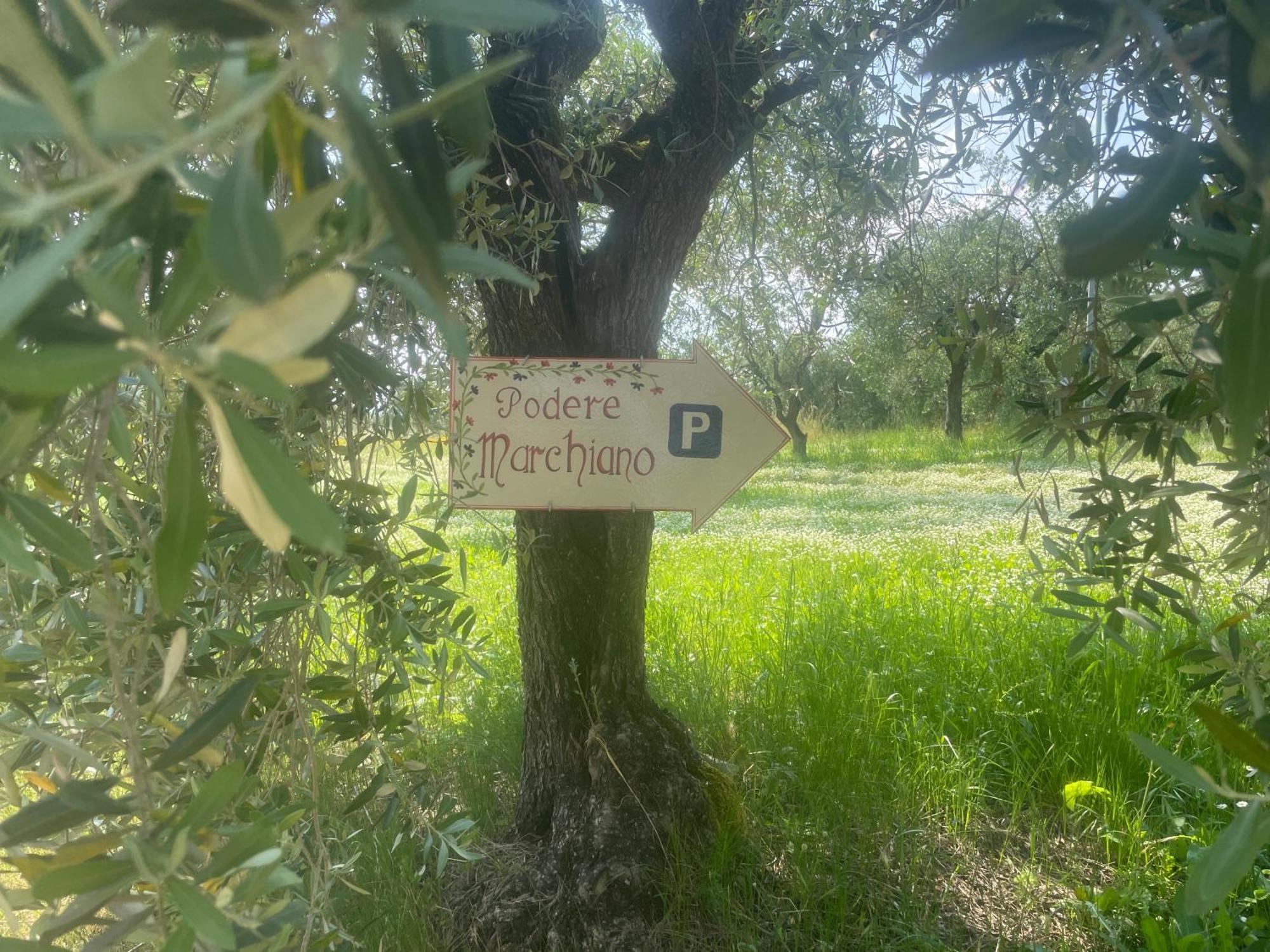 Podere Marchiano Larciano Exterior foto